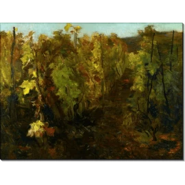 Виноградная лоза. Добиньи, Шарль-Франсуа